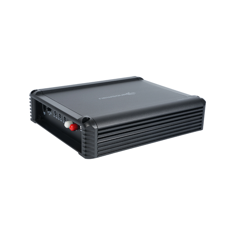 Mono Block D Amplifier