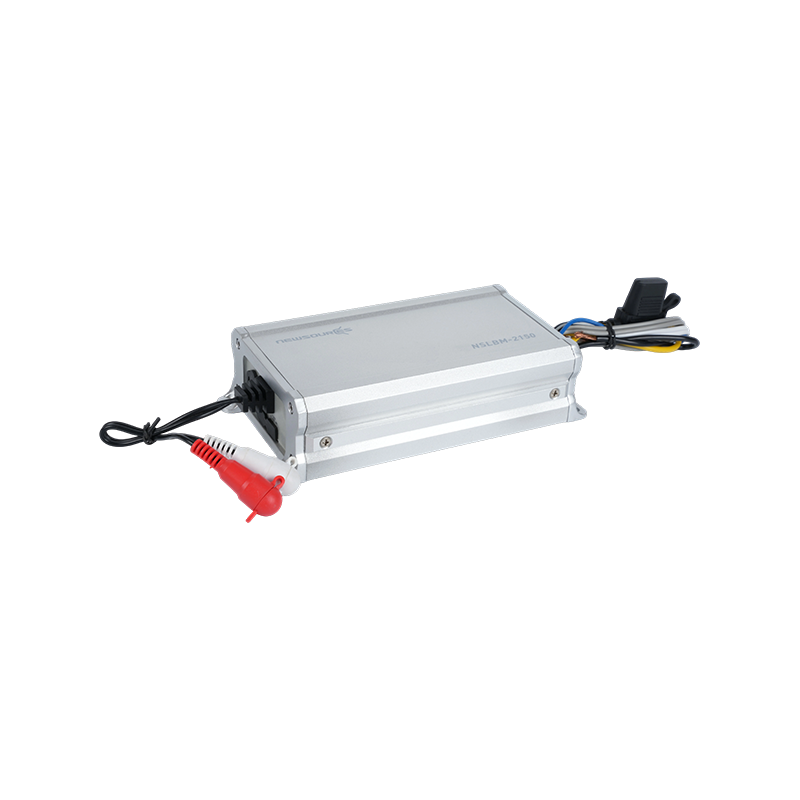 2 Channel Full range Class D Amplifier